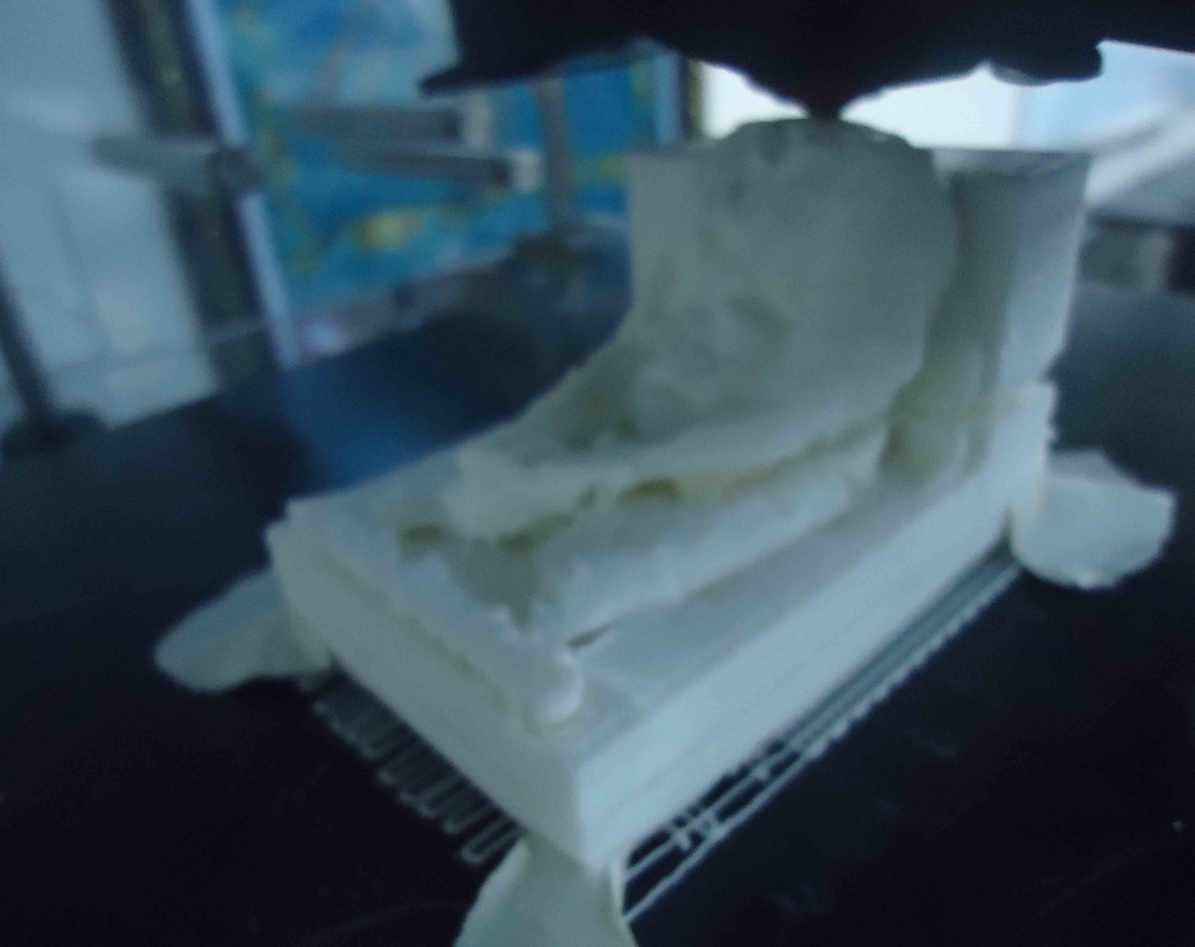 step three printing